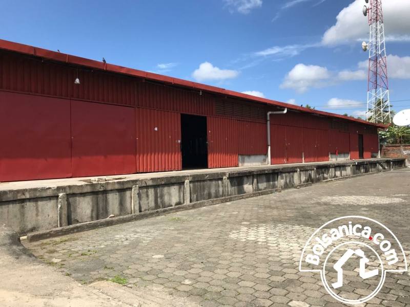 Se Alquila Bodegas Bolonia Managua