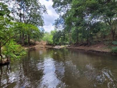 Finca 100 MNZ en Venta en La Trinidad, Diriamba.