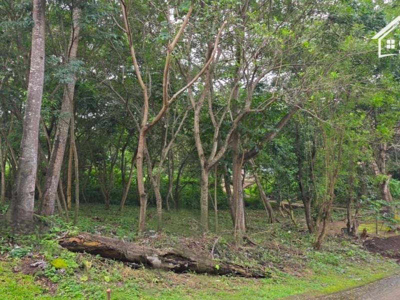 Terreno en venta en Santo Domingo, Managua