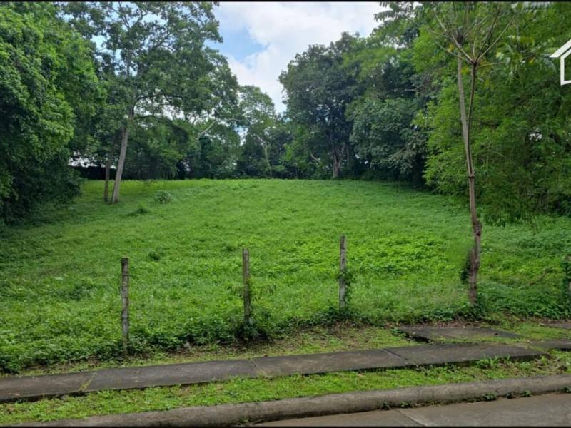 Terreno en venta en Santo Domingo, Managua
