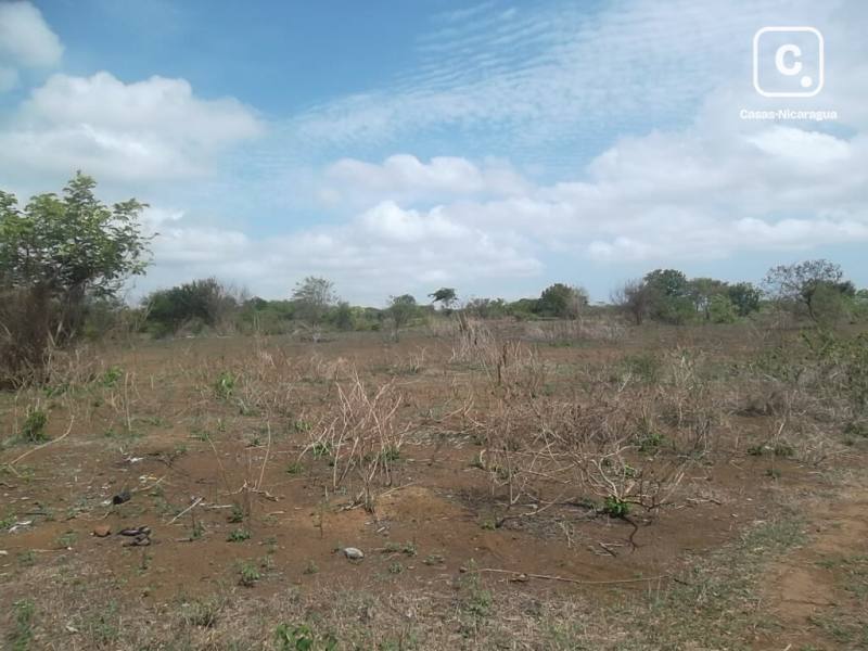 Lot for sale in Managua – 50,000 sq varas