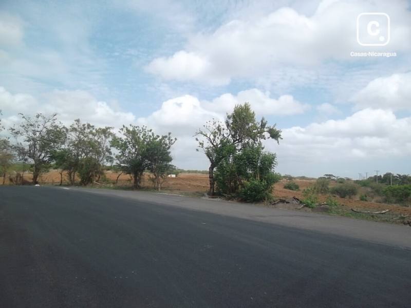 Lot for sale in Managua – 50,000 sq varas