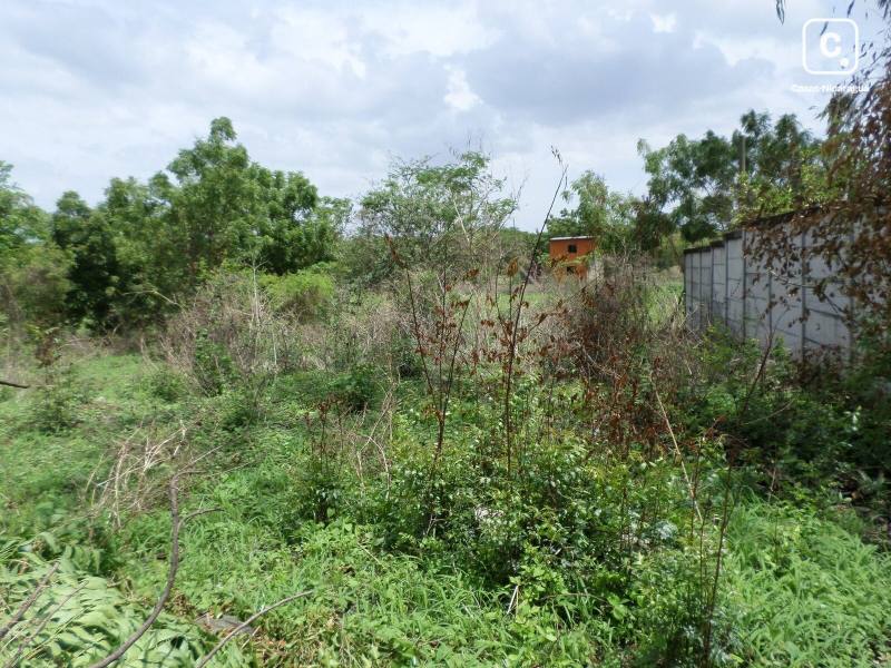 Lot for sale in Carretera Masaya, Managua – 1,000 sq varas