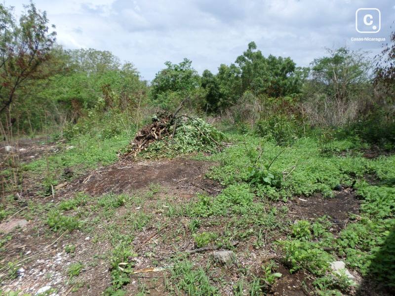 Lot for sale in Carretera Masaya, Managua – 1,000 sq varas