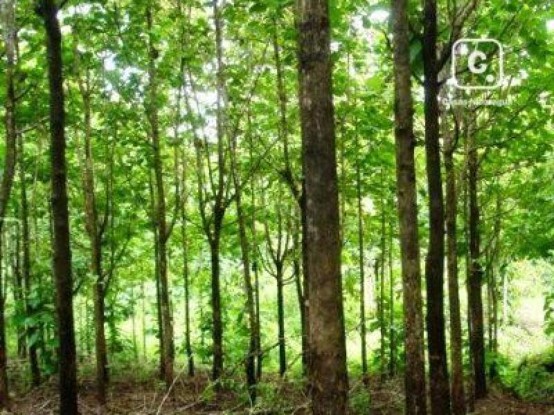 Terreno en venta en Veracruz, Managua – 1,989 varas²