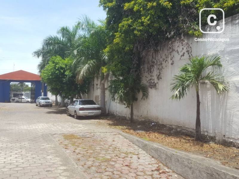 Bodega en alquiler en Bolonia, Managua – 600 m²