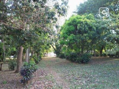 Bodega en venta en Carretera Masaya, Managua – 5,000 varas²