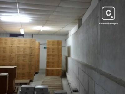 Warehouse for rent in Altamira, Managua – 560 m²