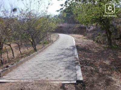 Finca en venta en Rivas – 52,000 varas²