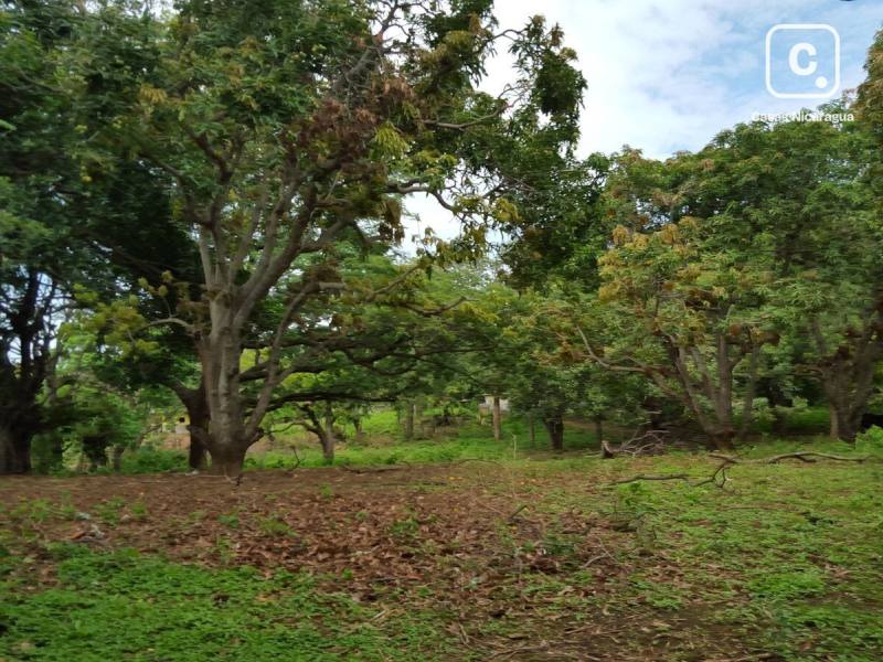 Lot for sale in Managua – 21,000 sq varas