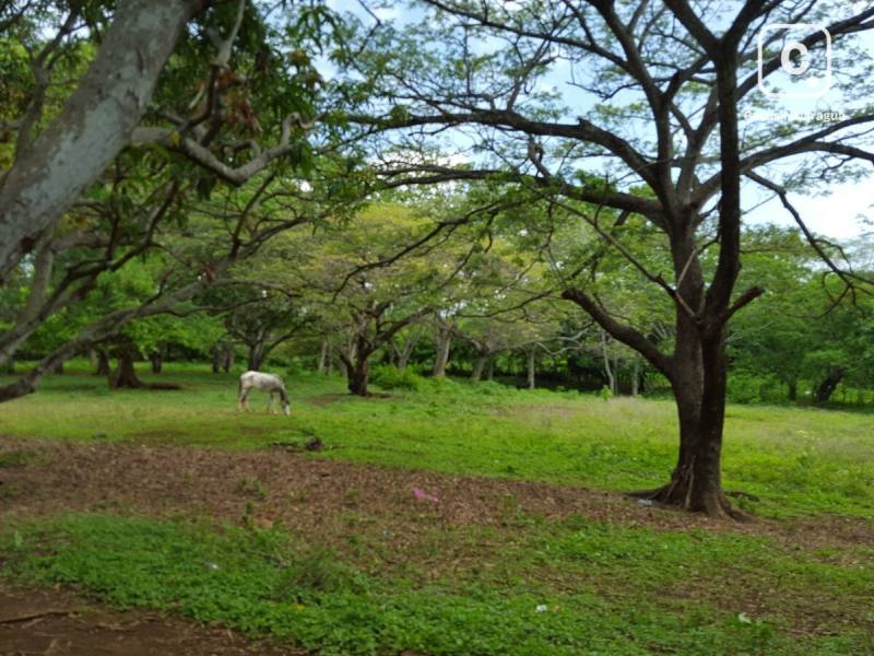 Lot for sale in Managua – 21,000 sq varas
