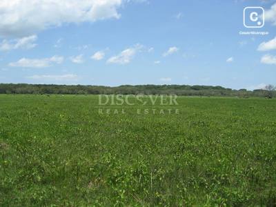 Farm for sale in Isla de Ometepe, Rivas – 3 beds, 400 m²
