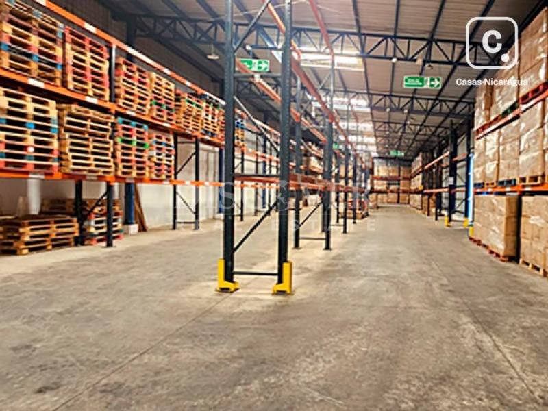 Bodega en alquiler en Las Colinas, Managua – 750 m²