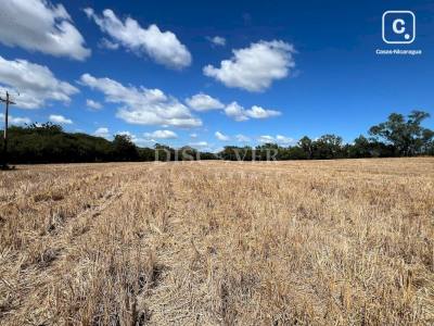 Terreno en venta en Carretera Norte, Managua – 250,000 varas²
