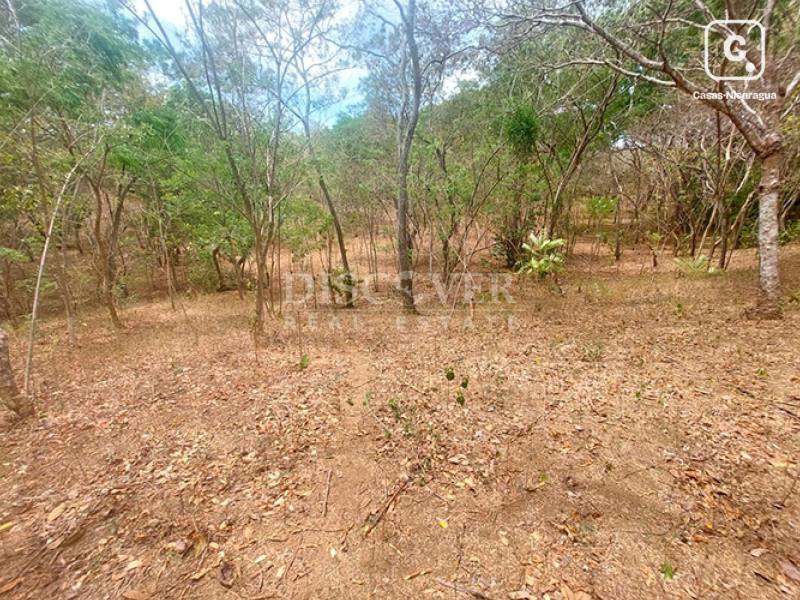 Terreno en venta en Carretera Masaya, Managua – 38,600 varas²