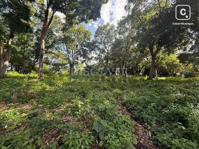 Lot for sale in Villa Fontana, Managua – 12,348 sq varas