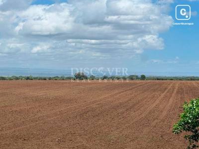 Terreno en venta en Managua – 2,000,000 varas²