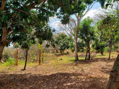 Terreno en venta en Carretera Masaya, Managua – 40,000 varas²