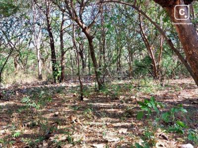 Finca en venta en Carretera Nueva León, Managua – 380,000 varas²