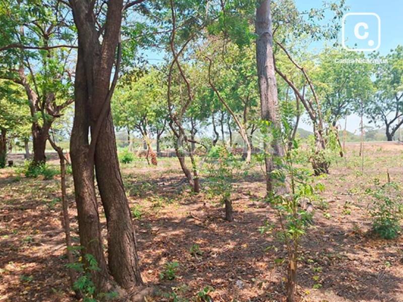 Lot for sale in San Rafael del Sur, Managua – 2,000 sq varas