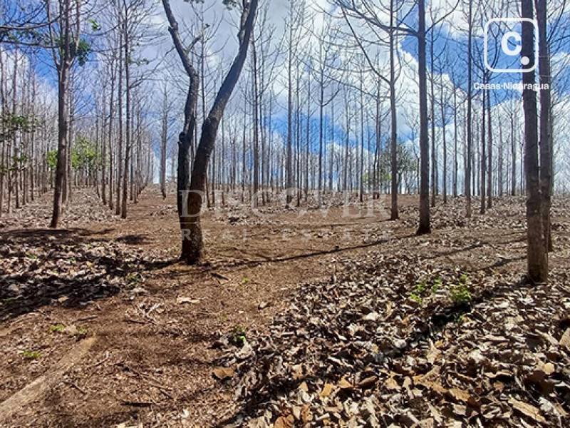 Terreno en venta en Jinotepe, Carazo – 62,782 varas²
