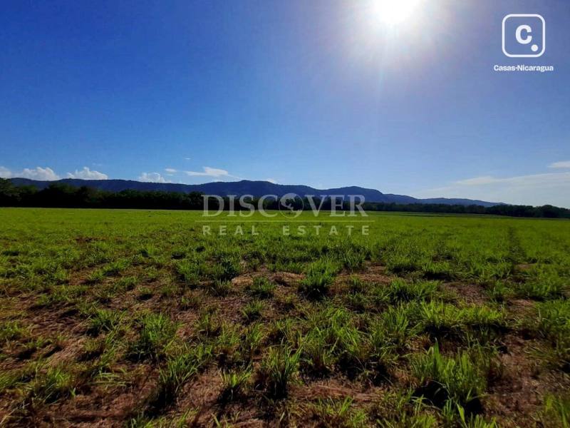 Terreno en venta en Carretera Nueva León, Managua – 196 m²