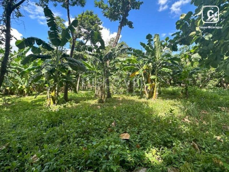 Terreno en venta en Carretera Masaya, Managua – 20,000 varas²