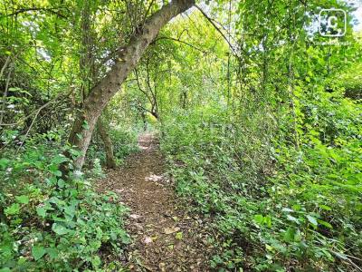Terreno en venta en Veracruz, Managua – 10,000 varas²