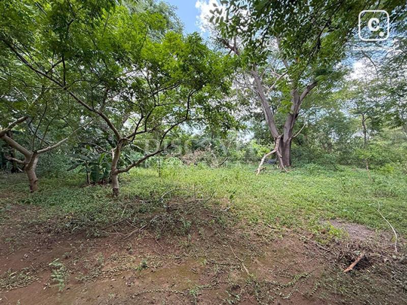 Terreno en venta en Las Colinas, Managua – 59,000 varas²