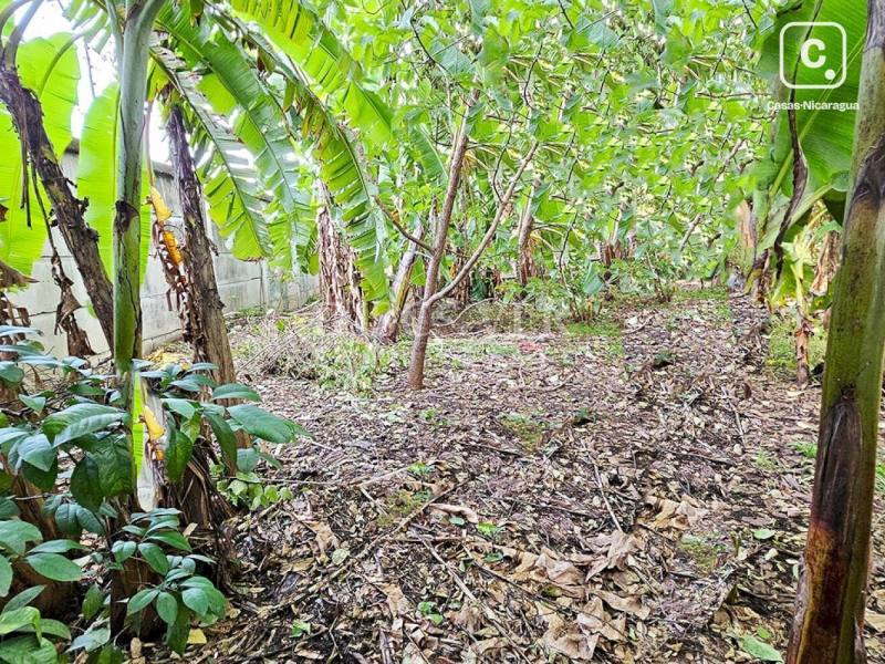 Terreno en venta en Carretera Masaya, Managua – 60 m²