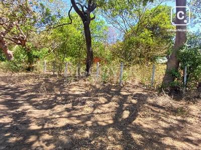 Terreno en venta en Carretera Vieja a León, Managua – 2,396 varas²
