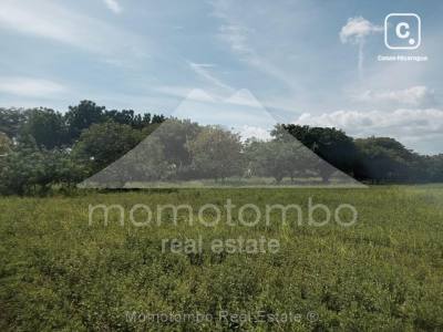 Finca en venta en Masaya – 5 hab, 55,000 varas²