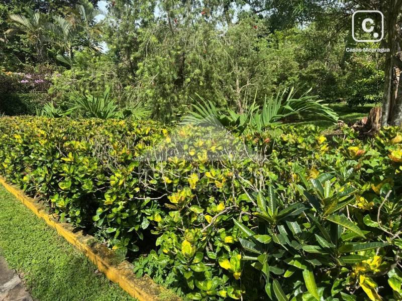 Finca en venta o alquiler en Ticuantepe, Managua – 3 hab, 381 m²