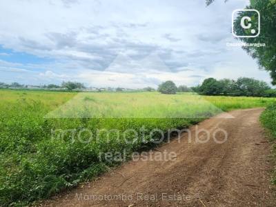 Terreno en venta o alquiler en Sábana Grande, Managua – 60,000 varas²