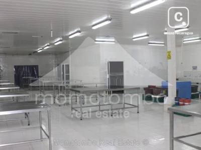 Warehouse for sale or rent in Managua – 1,364 m²