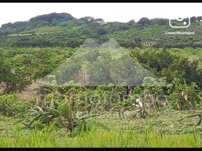 Finca en venta en Crucero, Managua – 300 m²