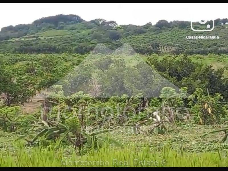 Finca en venta en Crucero, Managua – 300 m²
