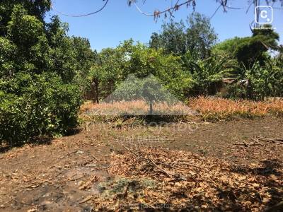 Terreno en venta en Carretera Masaya, Managua – 338 m²