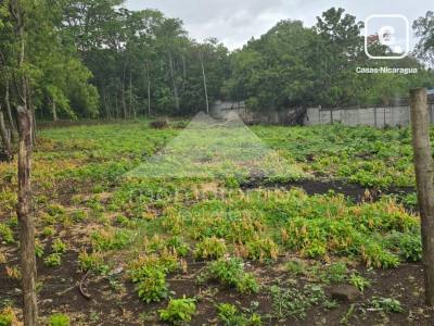 Terreno en venta en Carretera Vieja a León, Managua – 500 varas²