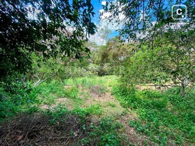 Terreno en venta en Villa Fontana, Managua – 3,000 varas²