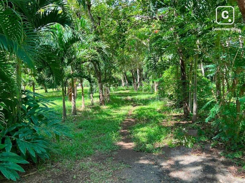 Finca en venta en Villa el Carmen, Managua – 130,000 varas²