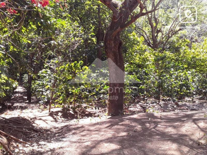 Finca en venta en Crucero, Managua – 20,000 varas²