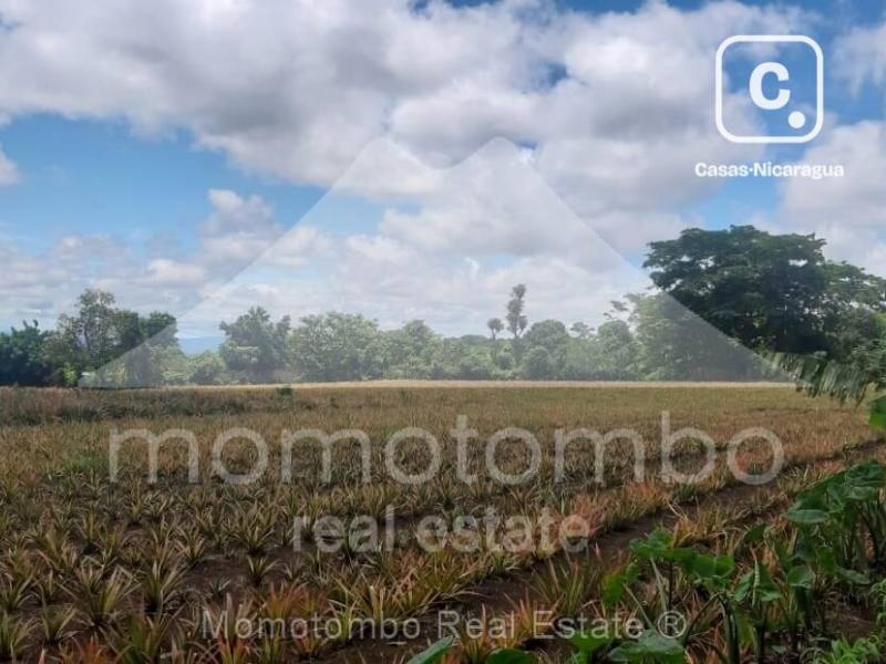 Terreno en venta en Ticuantepe, Managua – 69,063 varas²