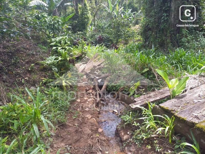 Finca en venta en San Ramon, Matagalpa – 100,000 varas²