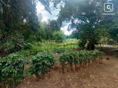 Terreno en venta en Masatepe, Masaya – 630 m²