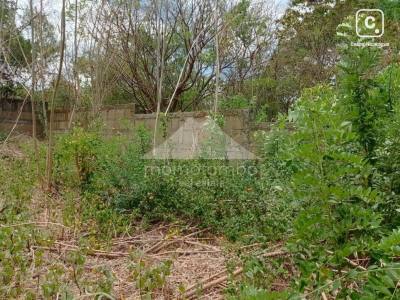 Terreno en venta en San Isidro de la Cruz Verde, Managua – 1,500 varas²