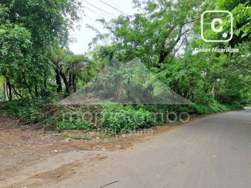 Terreno en venta en Jocote Dulce, Managua – 11,929 varas²