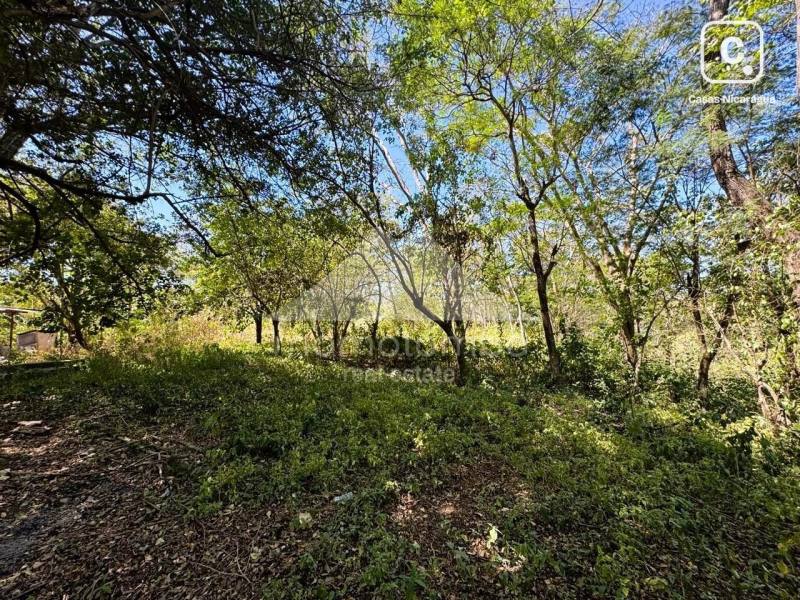 Terreno en venta en Jocote Dulce, Managua – 5,964 varas²