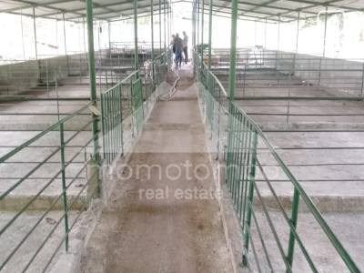 Finca en venta en Niquinohomo, Masaya – 737 m²