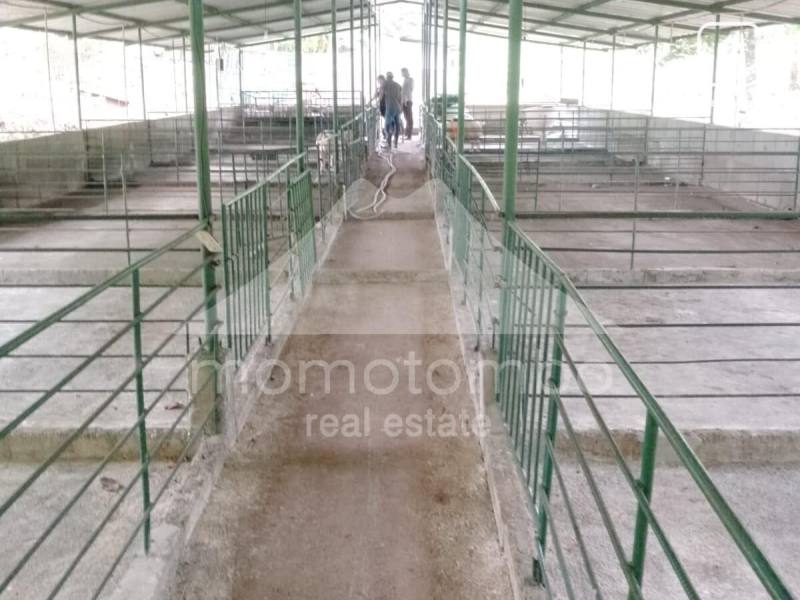 Finca en venta en Niquinohomo, Masaya – 737 m²